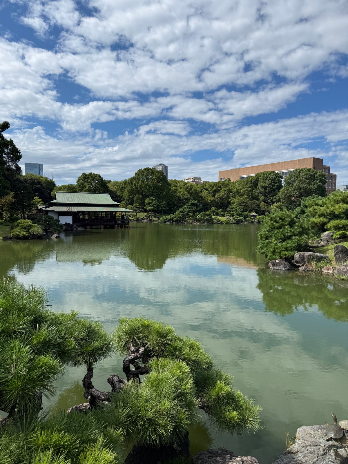Pine trees and a teahouse reflected in a Tokyo garden pond