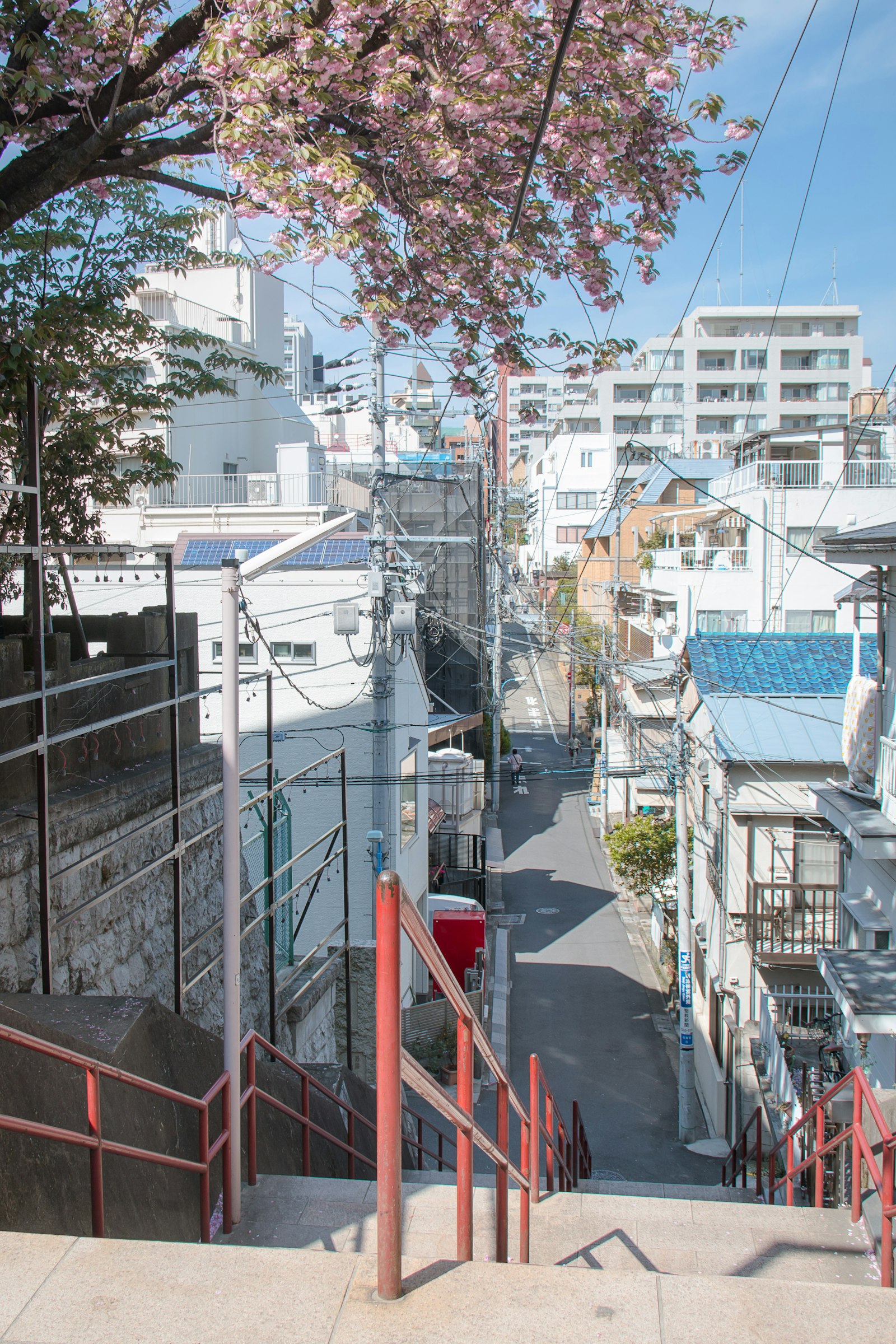 Your own slow Tokyo day — 5-hour private walking tour with local guide Hitomy